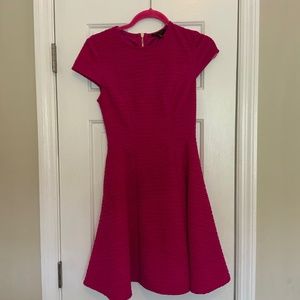 Cute Flare Ted Baker Dress